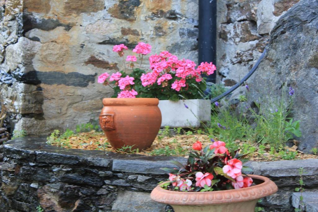 Ferienwohnung Casa San Martino Ronco sopra Ascona Exterior foto